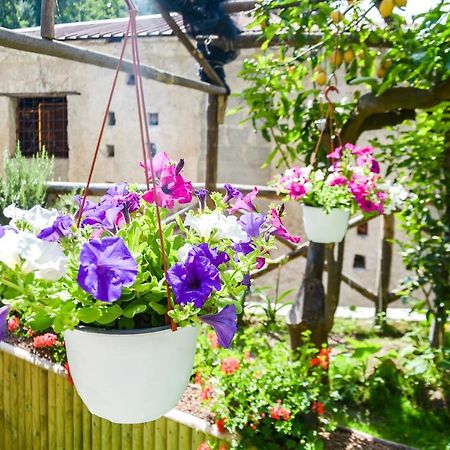 Holiday House Ruocco Maiori Exterior foto